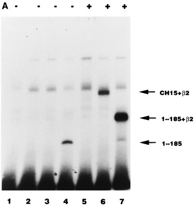 FIG. 6