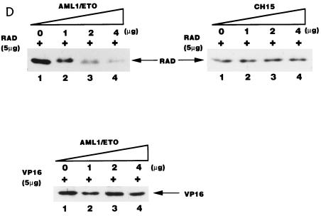 FIG. 5