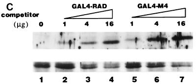 FIG. 8