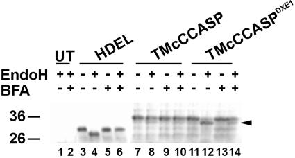 Figure 9.