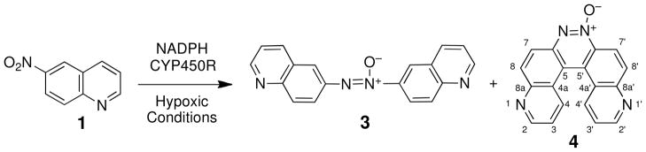 Scheme 3