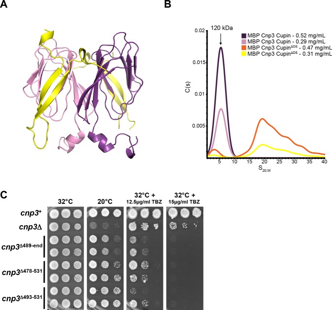 Figure 6.