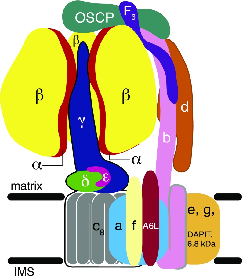 Fig. 1.