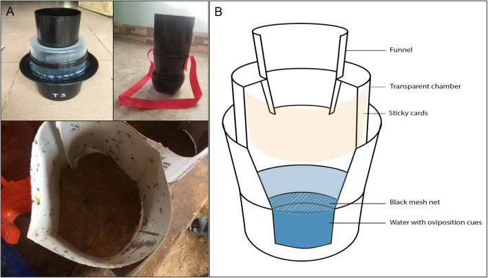 Fig. 1