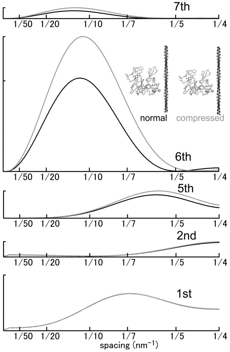 FIGURE 13