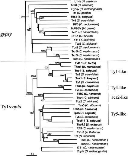 Figure 5