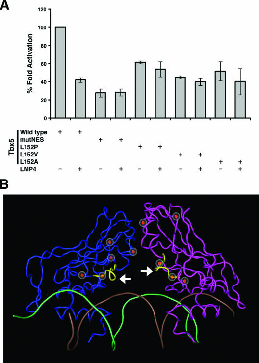 FIG. 6.