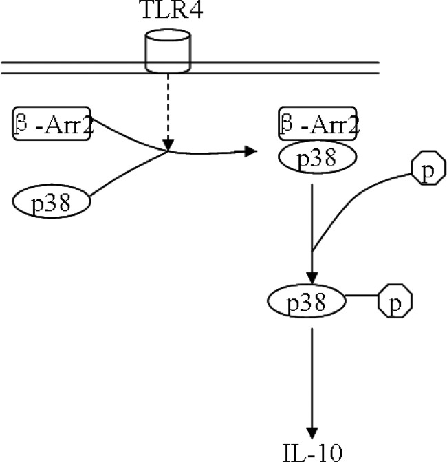 FIGURE 8.