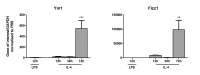 Supplementary Fig. 2