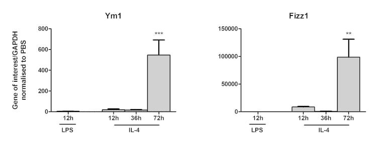 Supplementary Fig. 2