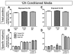 Supplementary Fig. 4