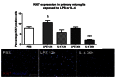 Supplementary Fig. 5