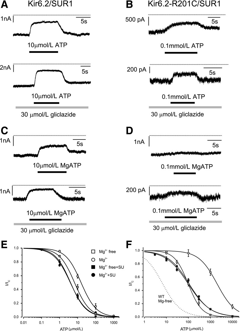 FIG. 2.