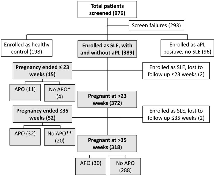 Appendix Figure 1