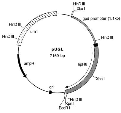 FIG. 1