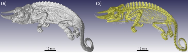 Figure 5: