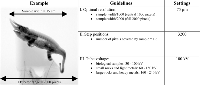 Figure 3: