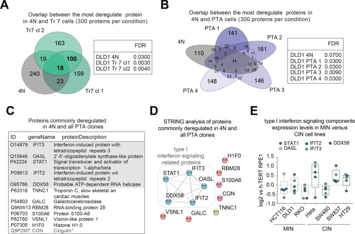 FIGURE 4: