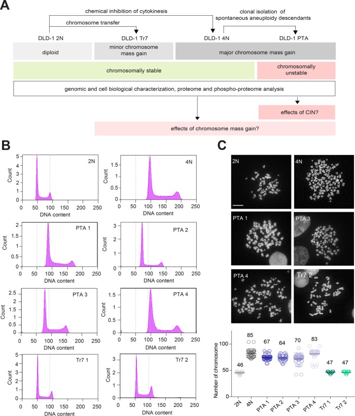 FIGURE 1: