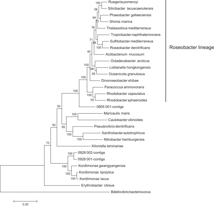 FIG 6