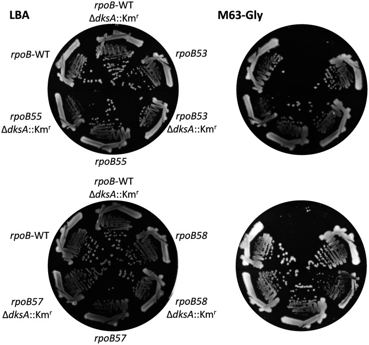 FIG 2