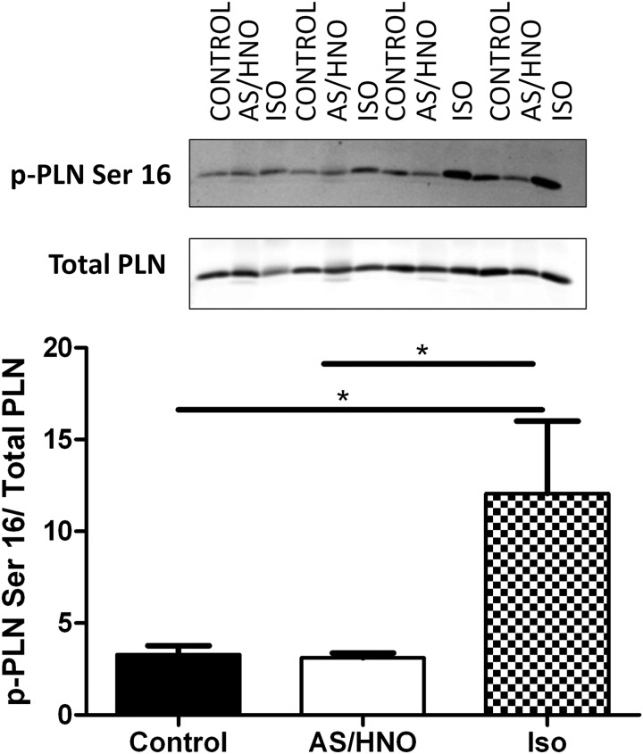 FIG. 9.