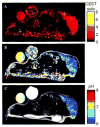 Fig. 10