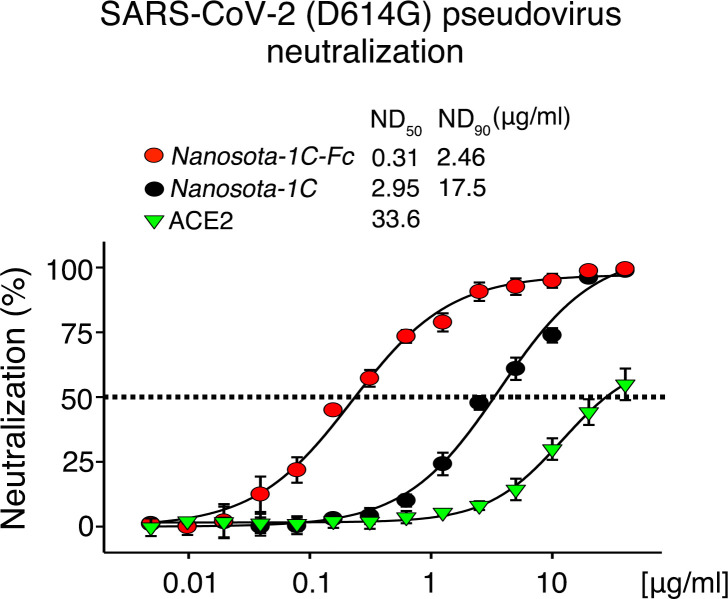 Figure 3—figure supplement 1.