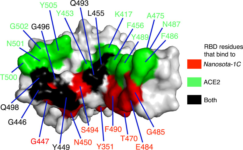 Figure 2—figure supplement 1.