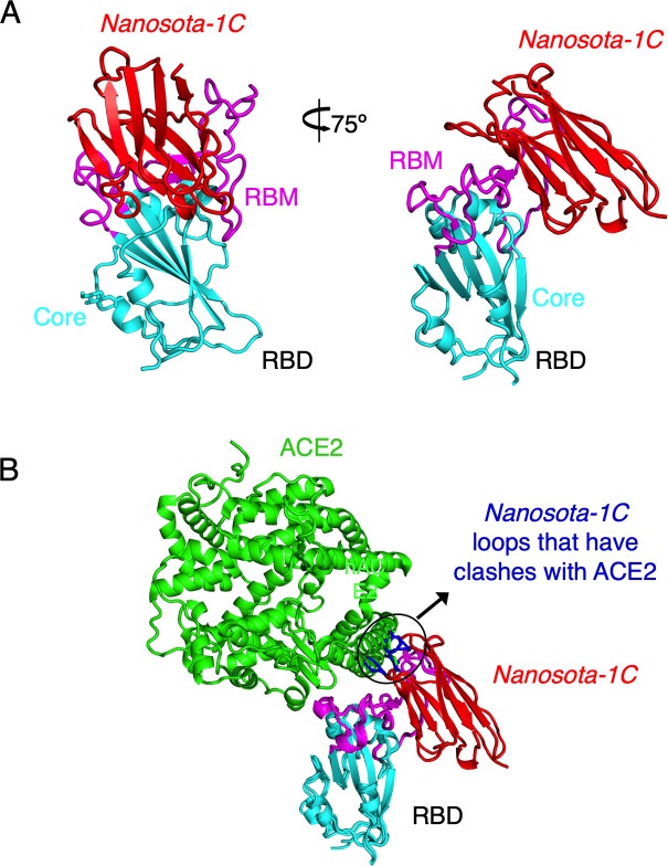 Figure 2.