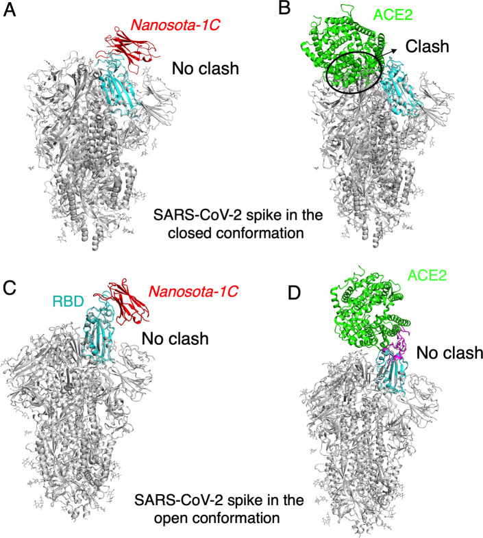 Figure 2—figure supplement 2.