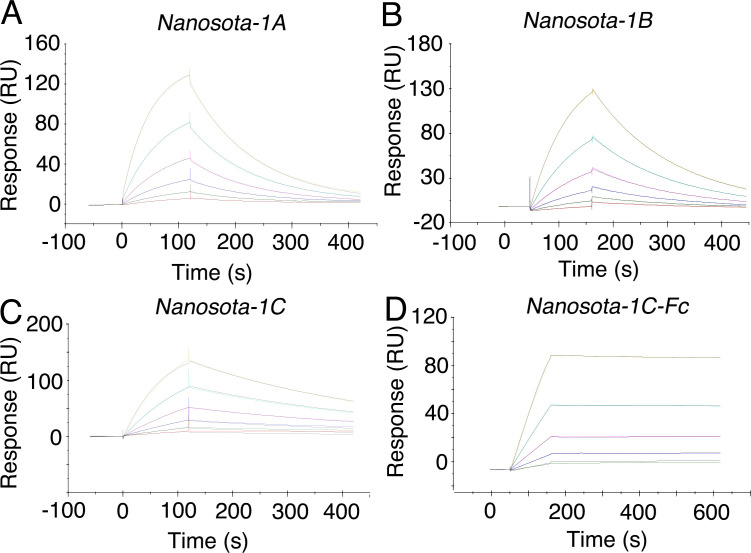 Figure 2—figure supplement 3.