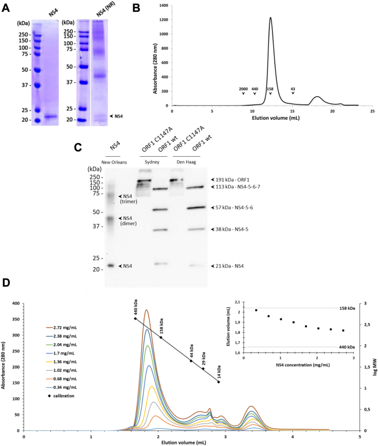 Figure 1