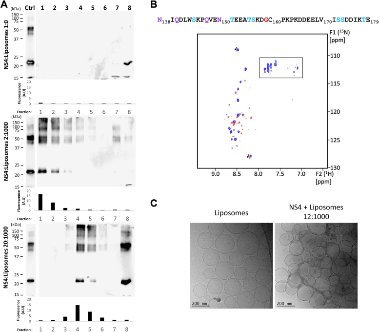 Figure 3