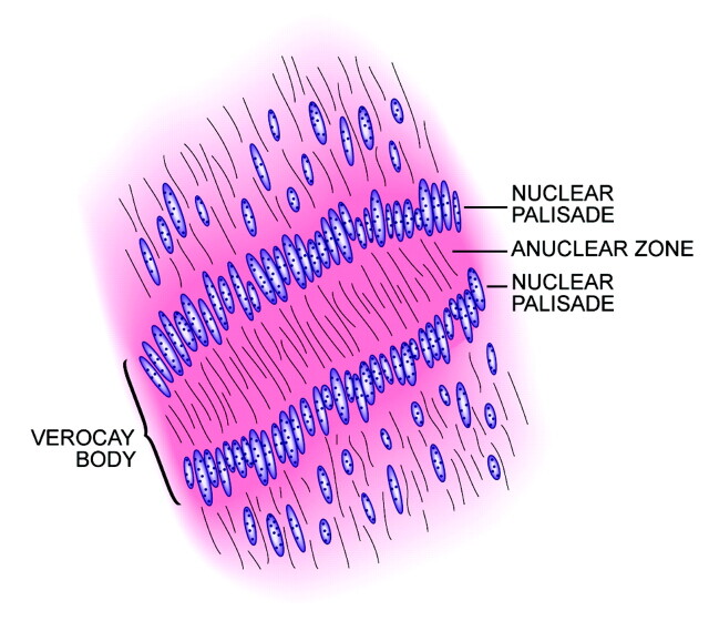 Fig 2.