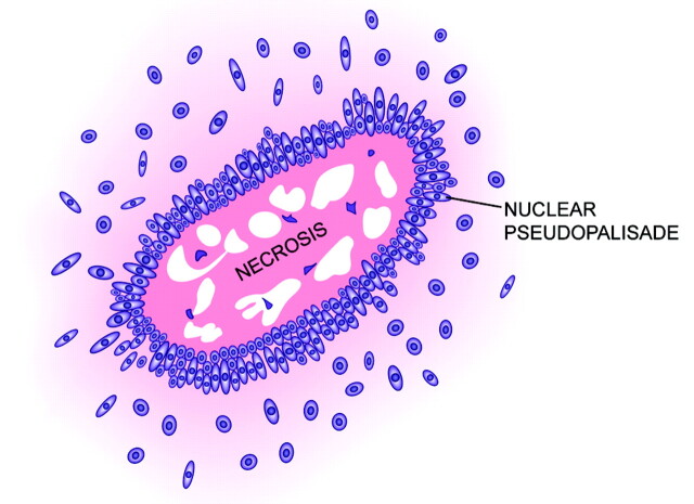 Fig 5.