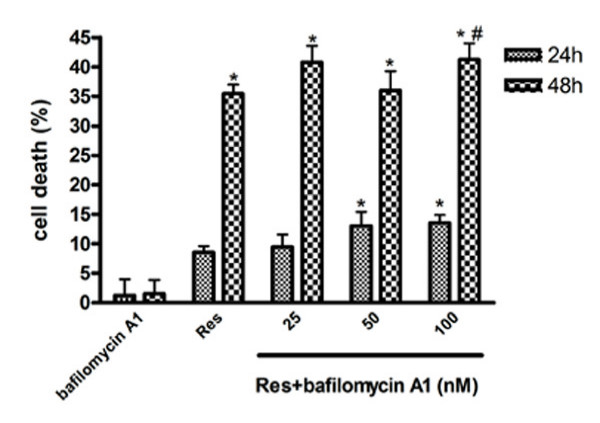 Figure 12