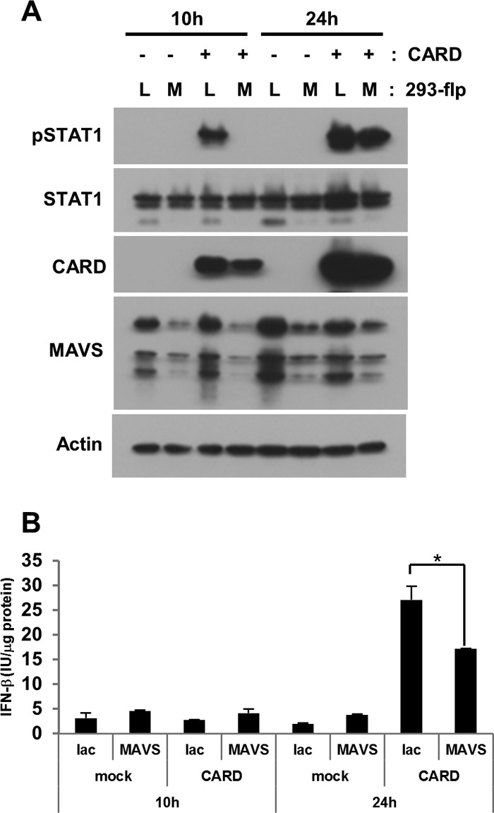 Fig 5