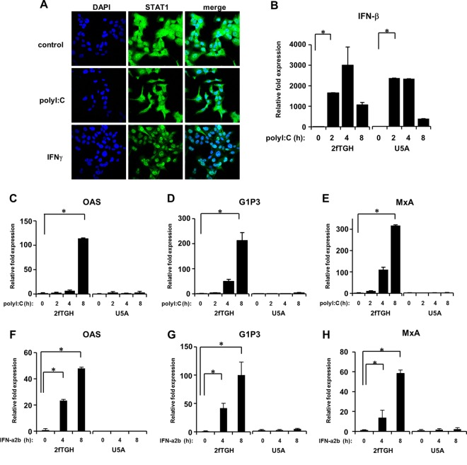 Fig 9