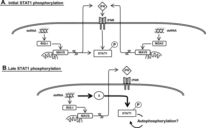 Fig 10