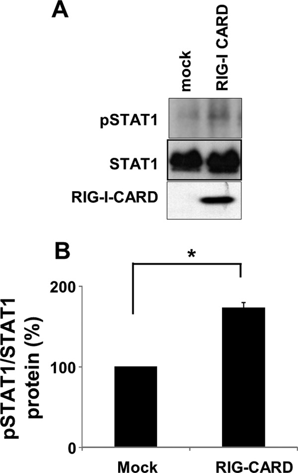 Fig 8