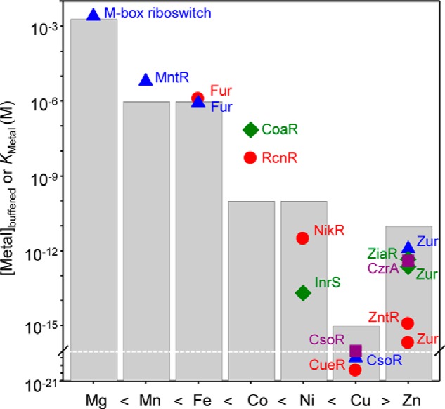 FIGURE 2.