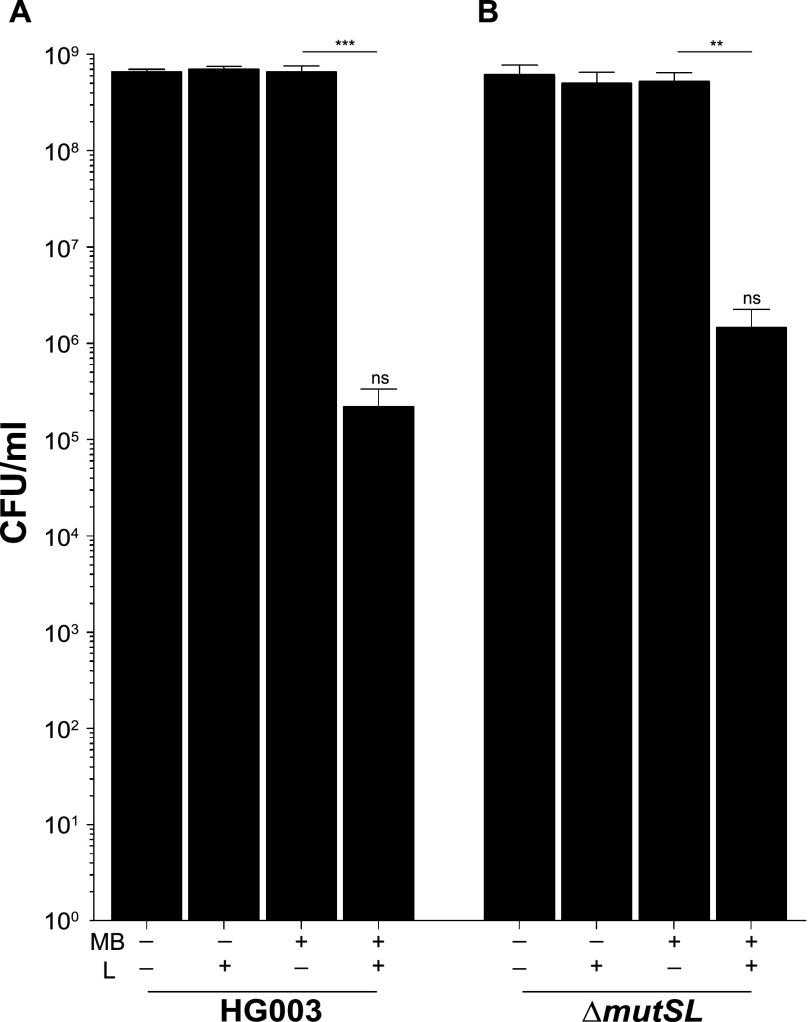 FIG 2