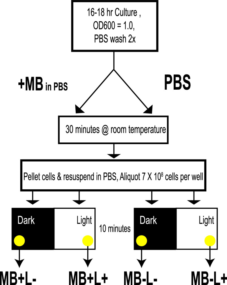 FIG 1