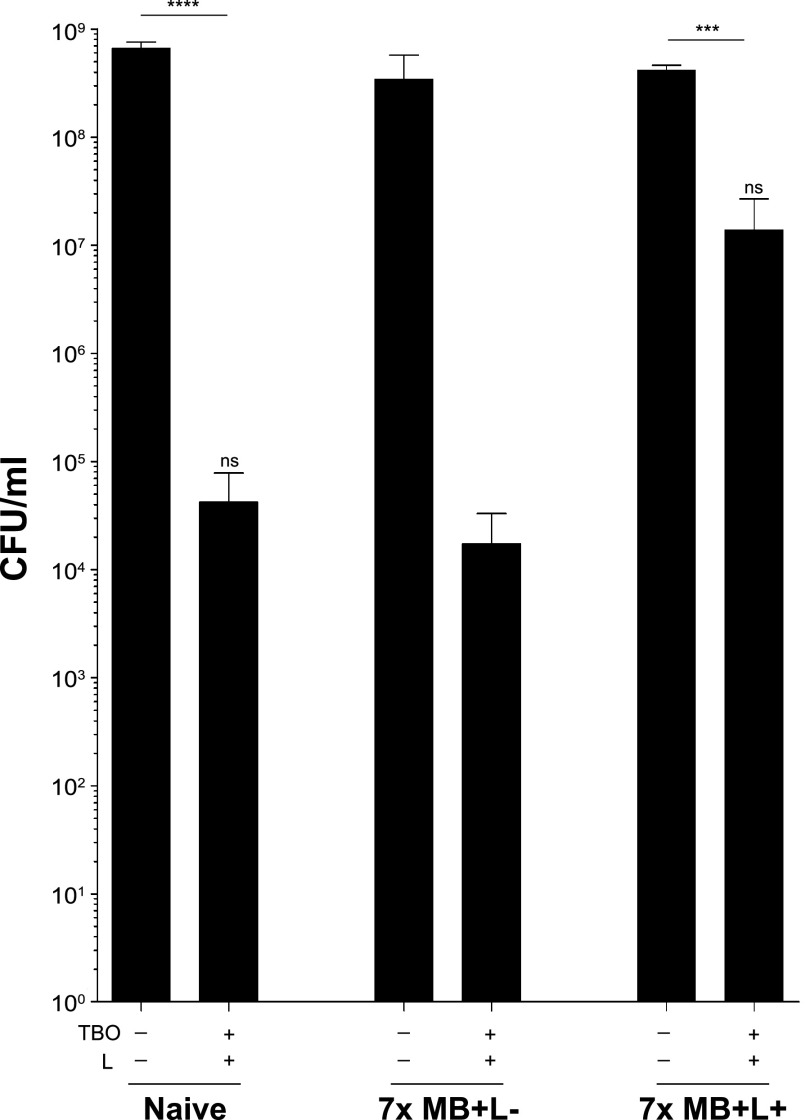 FIG 6