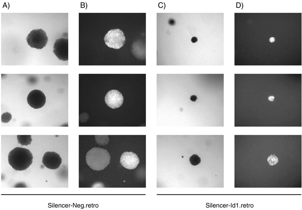 Fig. 8