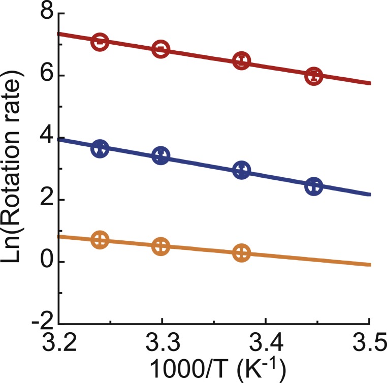 Fig. 7.