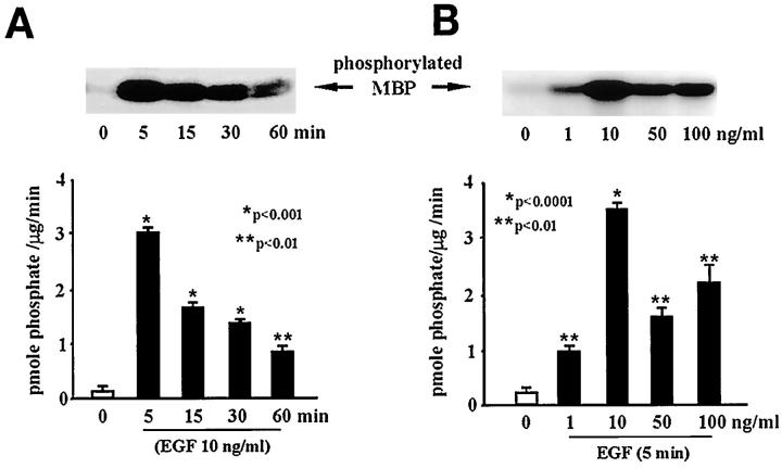 Figure 10.