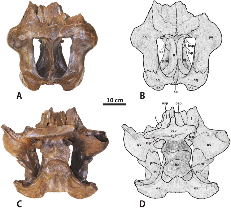 Fig 10