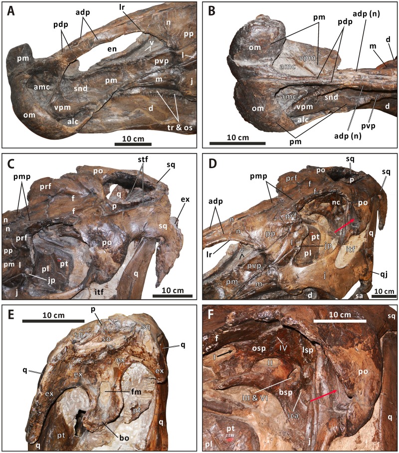 Fig 4